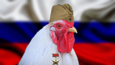 петух.jpg