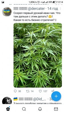 Screenshot_20220724-121440.jpg (133.84 КБ) 2261 просмотр Screenshot_20220724-121440.jpg