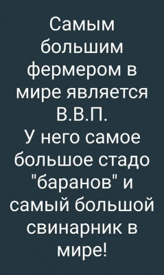 Ft2bPYsWYAIoN4N.jpg