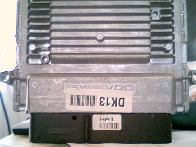 2010-04-10-54505.jpg