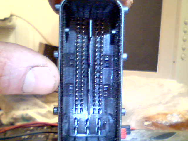 2010-04-10-56079.jpg