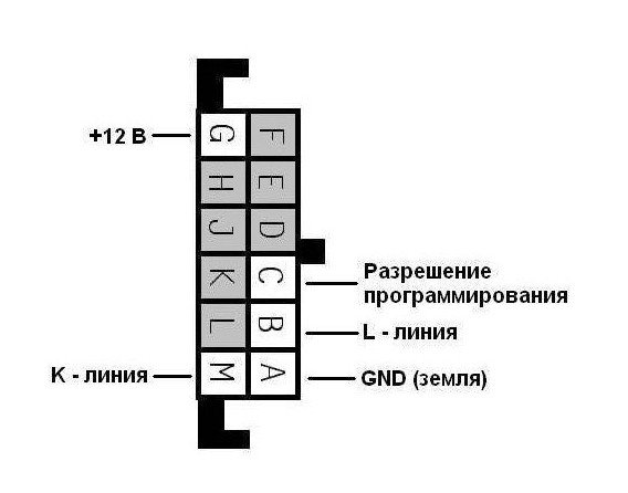9949cc43fc75.jpg