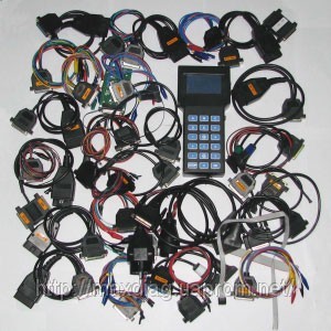 619947_w640_h640_117199.jpg