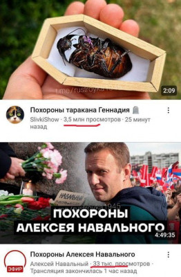 проводы.jpeg