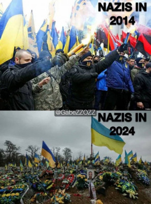 эволюция.jpeg