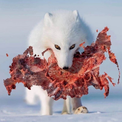 2024-07-03_222234.jpg (128.29 КБ) 969 просмотров 2024-07-03_222234.jpg