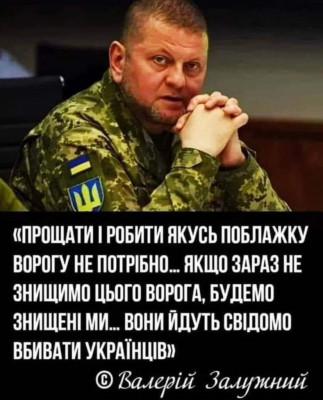 зображення_viber_2024-09-09_08-01-52-254.jpg