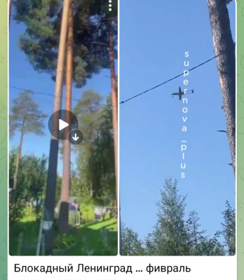 Screenshot_20250727-094253.Telegram.png