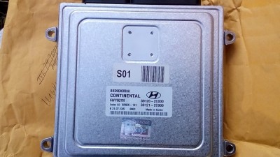a246d84s-960.jpg